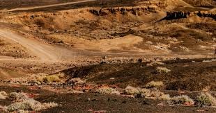 棒球与社交媒体的球员个人IP